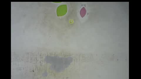 Snapshot of wet_pussy200 chatting on November 14, 2025, 12:53 am Bella online show from November 14, 2025, 12:53 am