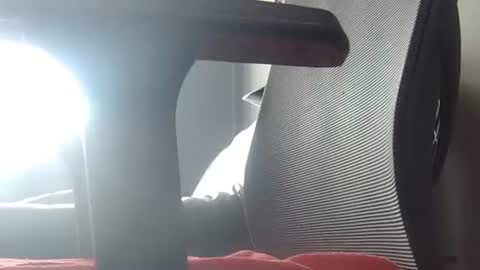 Snapshot of wetbigdickstream chatting on June 23, 2026, 11:41 am Wetbigdickstream online show from June 23, 2026, 11:41 am