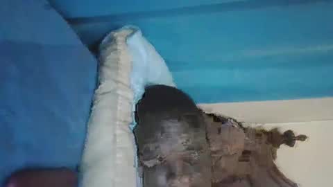 wetcock44 online show from December 3, 2024, 3:41 am