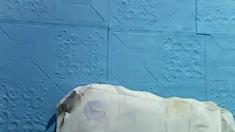 Snapshot of wettyhottie69 chatting on July 1, 2026, 10:31 pm wettyhottie69 online show from July 1, 2026, 10:31 pm