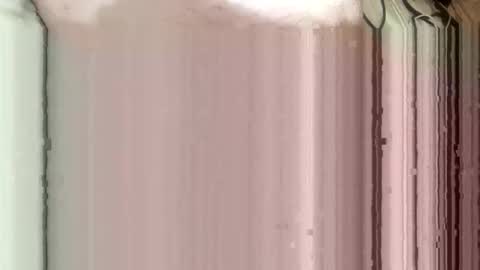 whispereddy online show from March 9, 2026, 11:03 am