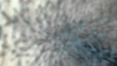 Snapshot of white_sexy_ chatting on January 18, 2026, 11:30 pm white_sexy_ online show from January 18, 2026, 11:30 pm