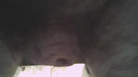 whitemann65 online show from January 2, 2025, 1:08 pm