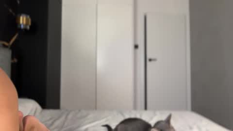 Snapshot of why_____not chatting on October 2, 2025, 4:14 pm Alice online show from October 2, 2025, 4:14 pm