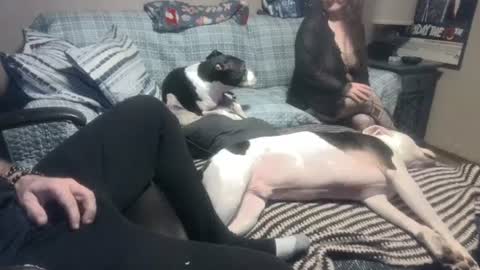 Snapshot of whynotforfun1 chatting on January 10, 2025, 1:10 am whynotforfun1 online show from January 10, 2025, 1:10 am