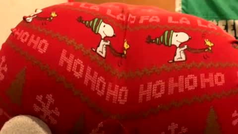 whyou12 online show from November 21, 2025, 9:57 pm