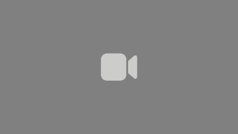 VI online show from October 31, 2025, 11:22 am