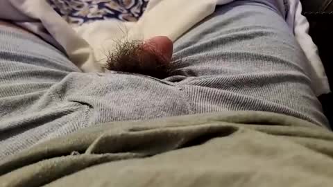 Snapshot of wildathaert chatting on December 22, 2024, 2:49 am Wild-at-heart online show from December 22, 2024, 2:49 am