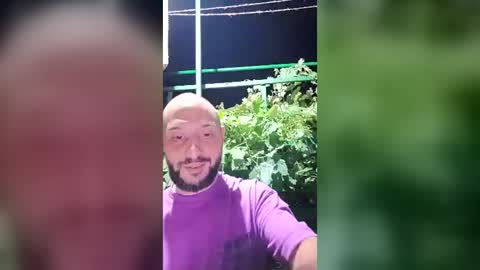 wildcrazypussy online show from July 17, 2026, 10:03 pm
