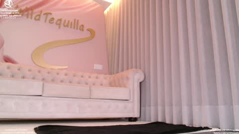 Snapshot of wildtequilla chatting on March 11, 2026, 7:53 pm Lili online show from March 11, 2026, 7:53 pm