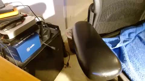 wildwills online show from April 14, 2026, 12:38 am