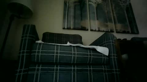 Snapshot of willnedoher chatting on December 1, 2024, 8:09 pm Willhedoher online show from December 1, 2024, 8:09 pm