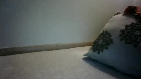 Snapshot of willnedoher chatting on February 13, 2025, 1:48 pm Willhedoher online show from February 13, 2025, 1:48 pm