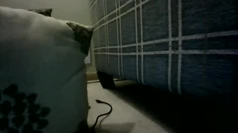 Willhedoher online show from March 4, 2026, 12:33 pm