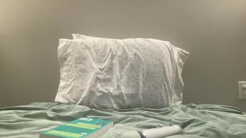 Snapshot of willowwilder chatting on January 3, 2025, 4:11 am Willow online show from January 3, 2025, 4:11 am