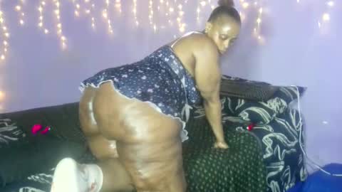 wilmaassylum online show from October 2, 2025, 7:48 am