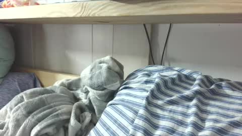 Danii online show from March 7, 2025, 2:36 am