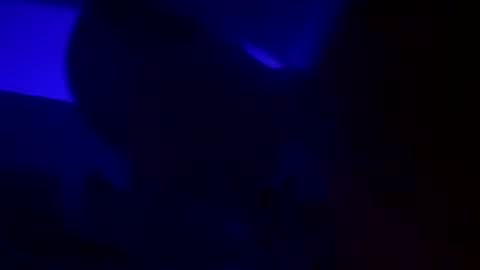 WolfX online show from December 15, 2024, 5:13 am