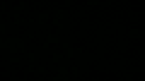 wolfie_86 online show from October 7, 2025, 11:29 am