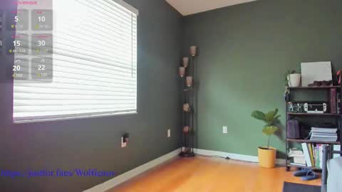 Wolfienov online show from December 27, 2024, 3:37 pm