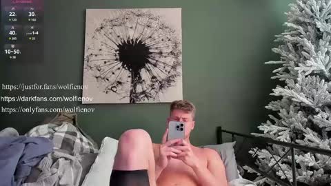 Wolfienov online show from February 3, 2025, 8:24 pm