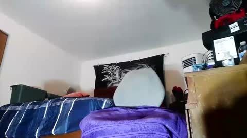 wolfman79 online show from February 7, 2026, 11:47 am