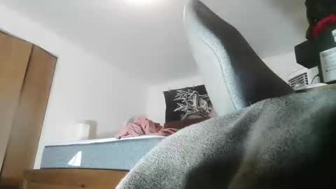 wolfman79 online show from May 17, 2026, 5:31 pm