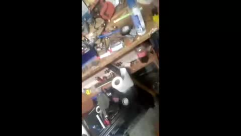 wood6957 online show from March 10, 2026, 1:38 pm