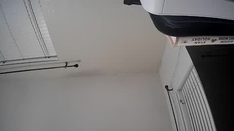 WoodCouldShould86 online show from January 15, 2026, 8:41 am