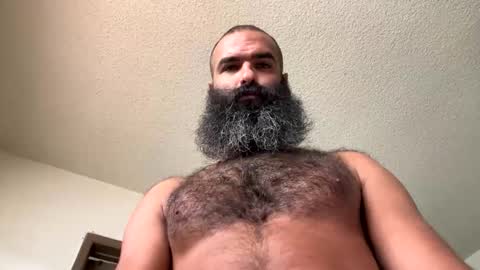 woof_wolf37 online show from November 1, 2025, 4:42 pm