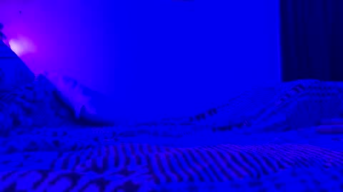 wowsers7 online show from November 7, 2025, 8:03 am