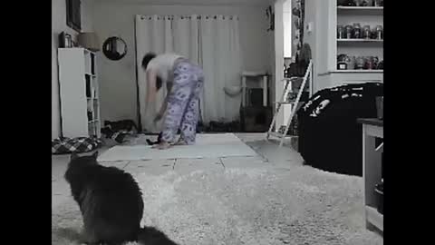 Snapshot of wrenleigh chatting on December 18, 2024, 5:59 am Crystal Lake online show from December 18, 2024, 5:59 am