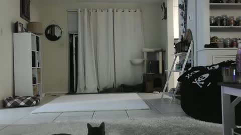 Snapshot of wrenleigh chatting on December 26, 2024, 9:22 am Crystal Lake online show from December 26, 2024, 9:22 am