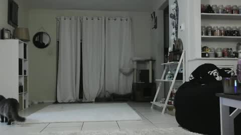 Snapshot of wrenleigh chatting on January 3, 2025, 5:28 am Crystal Lake online show from January 3, 2025, 5:28 am