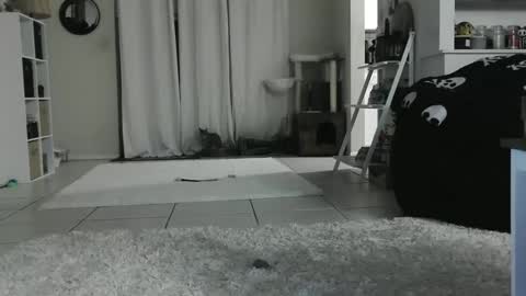 Snapshot of wrenleigh chatting on January 12, 2025, 9:08 am Crystal Lake online show from January 12, 2025, 9:08 am