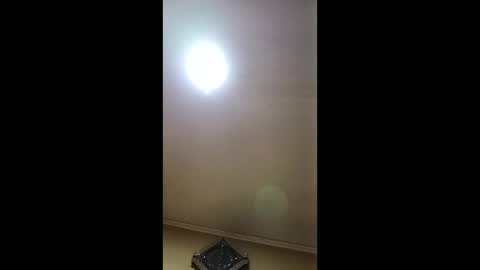 wuseegelfwqa online show from April 4, 2026, 1:37 am