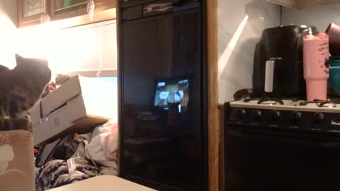 x2kayx2 online show from February 3, 2026, 1:05 pm