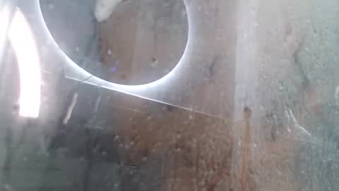 Andres online show from February 3, 2025, 11:42 am