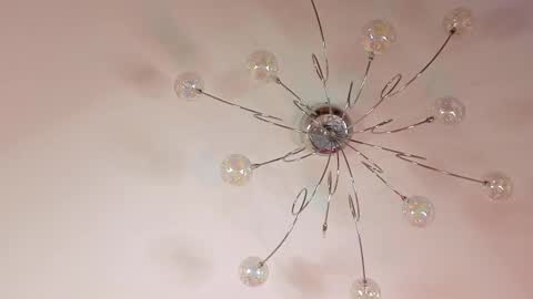 Elvin online show from February 20, 2026, 1:44 pm