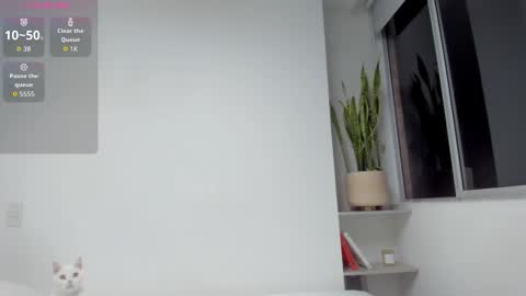 Xavier online show from March 19, 2026, 10:08 am