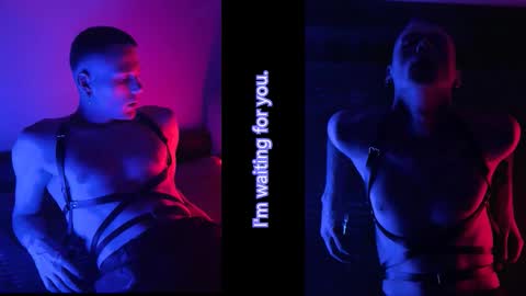 xavier_night81 online show from October 30, 2025, 8:27 am