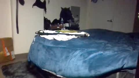 Toke online show from December 9, 2024, 2:06 pm