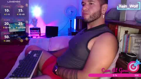 Snapshot of xein_wolf chatting on January 27, 2025, 2:42 am Xein Independent Model online show from January 27, 2025, 2:42 am