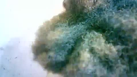 xenna610827 online show from February 20, 2025, 6:50 am