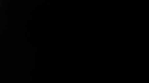 ximlopexx online show from October 2, 2025, 10:17 pm