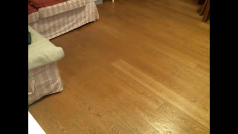 xmystiqdreamsx online show from January 26, 2025, 12:01 pm