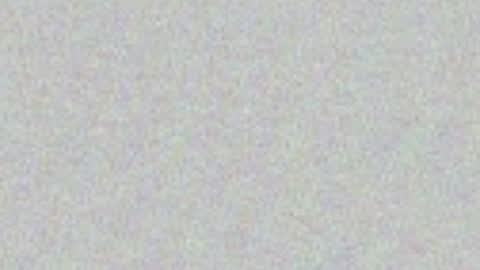xox_kitten online show from June 15, 2026, 3:53 am