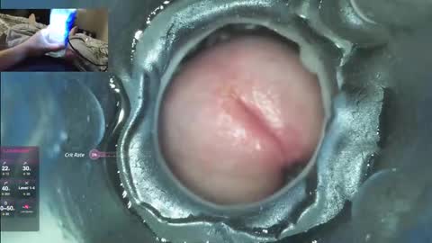 Snapshot of xoxowtf chatting on December 7, 2024, 4:53 am xoxowtf online show from December 7, 2024, 4:53 am