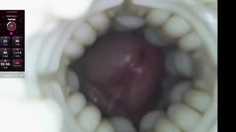 Snapshot of xoxowtf chatting on February 9, 2026, 11:20 pm xoxowtf online show from February 9, 2026, 11:20 pm