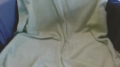 Snapshot of xxlecheroxx chatting on November 20, 2025, 6:07 pm xxlecheroxx online show from November 20, 2025, 6:07 pm